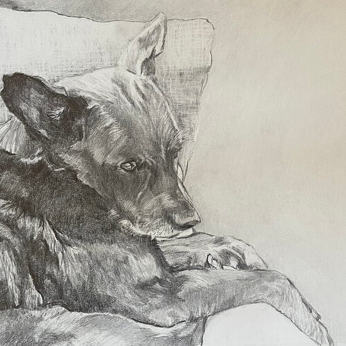 Atticus by Leah Langefeld