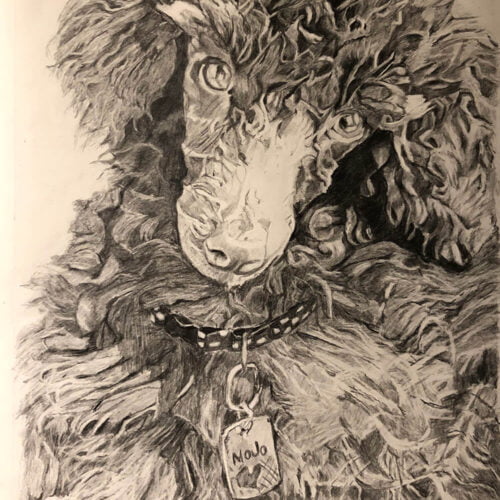 Mojo by Leah Langefeld