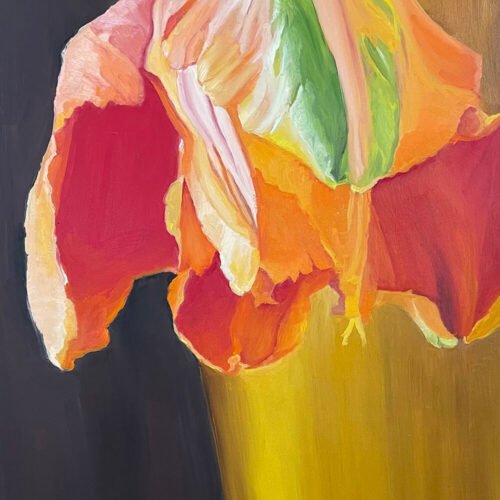 Parrot Tulip by Leah Langefeld