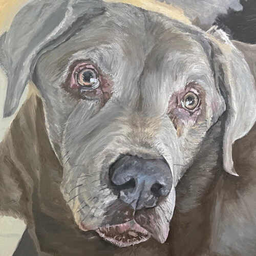 Shadow by Leah Langefeld