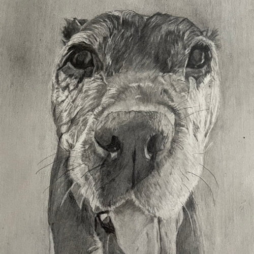 Gracie by Leah Langefeld