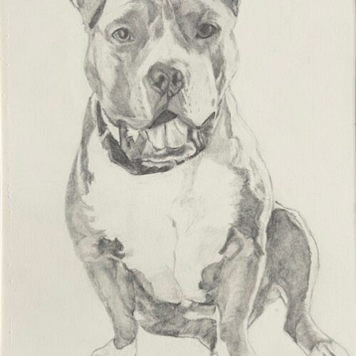 Mati by Leah Langefeld