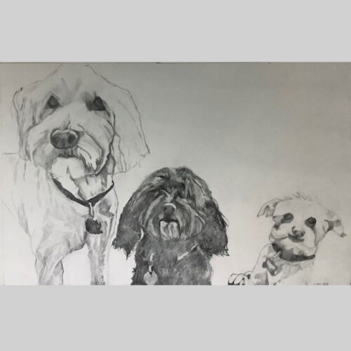 The Gang by Leah Langefeld