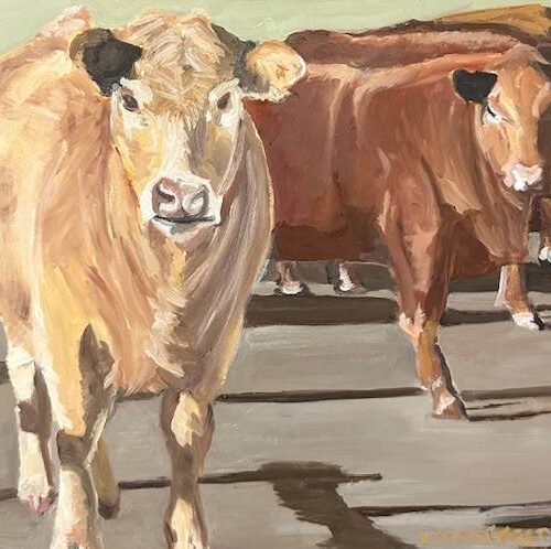 Three sisters from Alberta